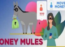 Money Mule: Allowing Others To Use Your Bank Account For Online Transfer Can Be Dangerous