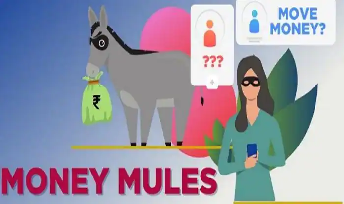 Money Mule: Allowing Others To Use Your Bank Account For Online Transfer Can Be Dangerous