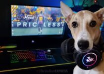 how to pet proof your tech, pet tech, how to keep tech safe from pets,