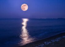Strawberry Moon To Appear In The Skies On June 14 Know All About It
