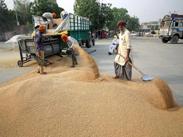 After Wheat Ban, India Now Curbs Flour Export And Other Products. Here