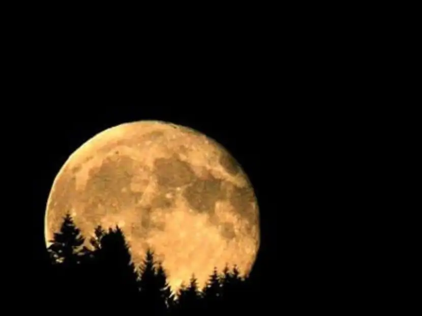 Buck Moon Thunder Moon 2022 Biggest Supermoon Of The Year On July 13 Know All About It