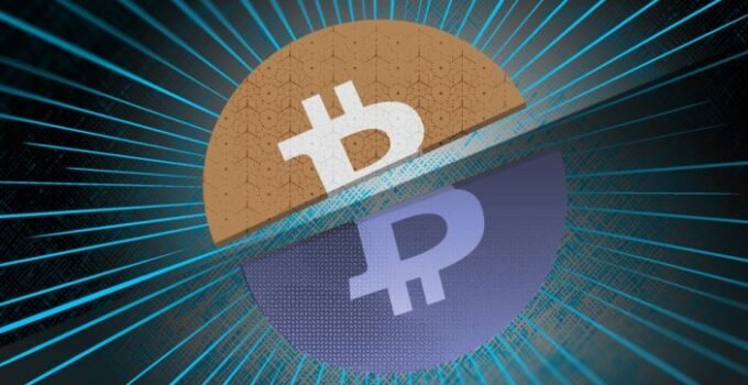 Former ‘bitcoin maximalist’ Dan Held sees a future in DeFi for the blockchain – TechCrunch